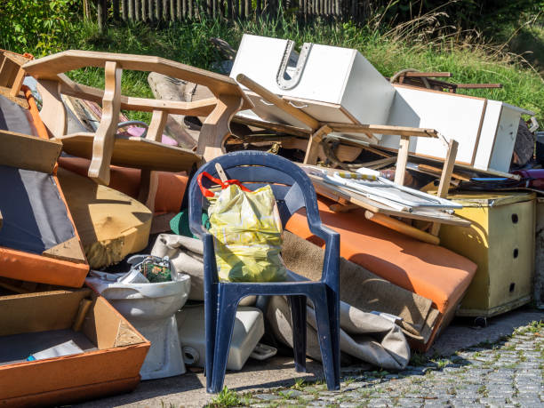 Professional Junk Removal  in Hoschton, GA